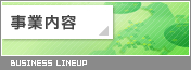 ���Ɠ��e