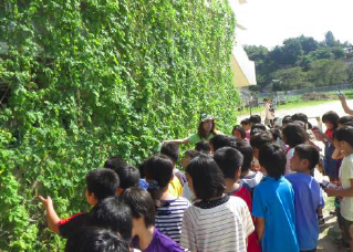佐賀県唐津市立外町小学校での「みどりのカーテン効果測定講座」