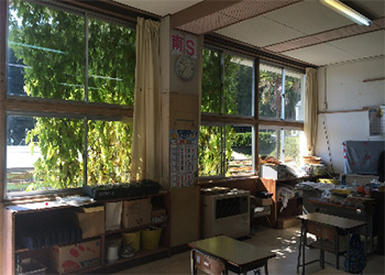 写真：2014年完成したみどりのカーテン（小学校）