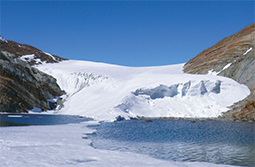 写真：南極地域由来の新規微生物群を解明(1)