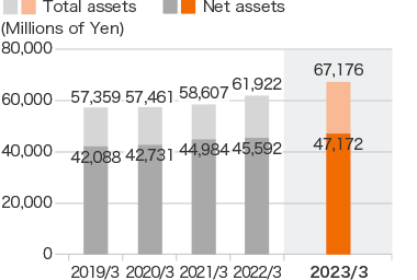 Graph: Total assets / Net assets