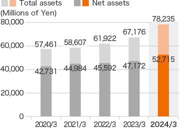 Graph: Total assets / Net assets