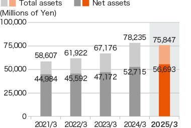 Graph: Total assets / Net assets