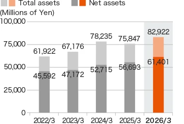 Graph: Total assets / Net assets