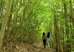 ESPEC Forest, home to various native species
