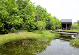 Biotope attracting a diverse range of creatures