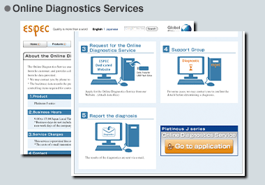 Online diagnostic service