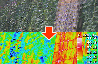 サーモグラフィーを用いた効果測定の結果
