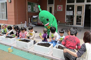 植え付けの様子