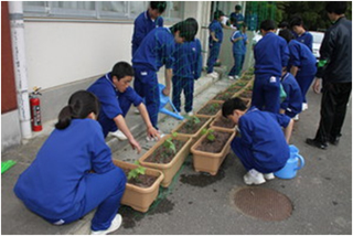 植え付け後の水やりの様子