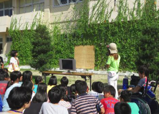 佐賀県唐津市立西唐津小学校での「みどりのカーテン効果測定講座」