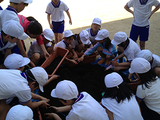 遷喬小学校での「みどりのカーテン植え付け出張講座」