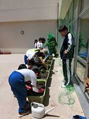 気仙沼市立唐桑小学校での「みどりのカーテン植え付け出張講座」