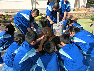 気仙沼市立唐桑中学校での「みどりのカーテン植え付け出張講座」