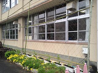 川合小学校での「みどりのカーテン植え付け出張講座」