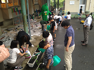 川合小学校での「みどりのカーテン植え付け出張講座」