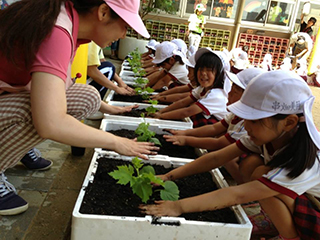 広島光明学園での「みどりのカーテン植え付け出張講座」