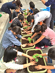 苗の植え付け作業