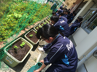 植え付け後の水やりもバッチリ