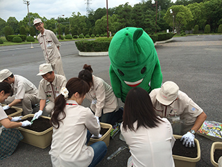 植え付けの様子