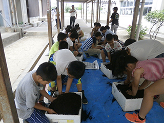 3種類の土と肥料を混ぜたよ