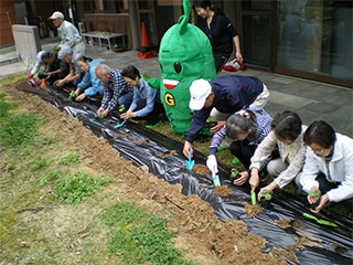 ゴーヤ先生と一緒に植え付け