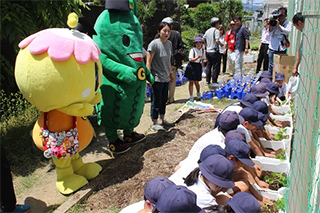 ゴーヤの気持ちで優しく植え付け作業