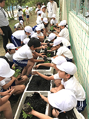 ゴーヤの気持ちで優しく植え付け