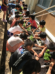 植え付け作業中