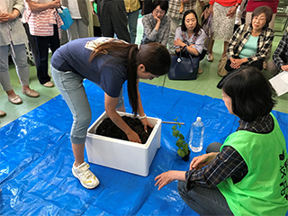 植え付け方法のデモンストレーション