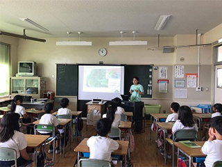 みどりのカーテンの効果について説明