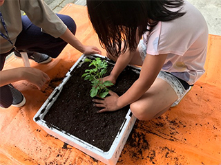 ゴーヤの気持ちで優しく植え付け