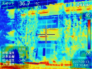 赤外線サーモグラフィー画像