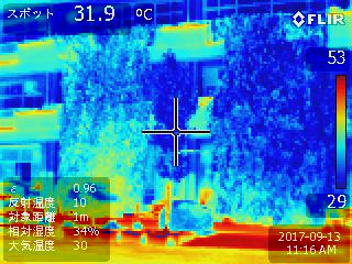 赤外線サーモグラフィー画像