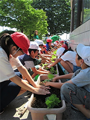 ゴーヤの気持ちで優しく植え付け