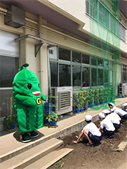 ゴーヤ先生と一緒に地植えの準備