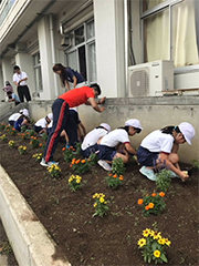 地植えで大きく育てます