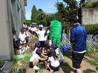 ゴーヤの気持ちで優しく植えつけ作業