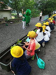 ゴーヤの気持ちで優しく植えつけ作業