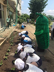 ゴーヤの気持ちになって優しく植え付け作業！