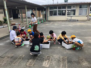 発泡スチロールに植え付けます