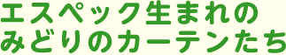 エスペック生まれのみどりのカーテンたち