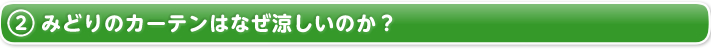 2.みどりのカーテンはなぜ涼しいのか？