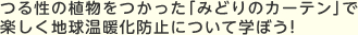 つる性の植物をつかった「みどりのカーテン」で楽しく地球温暖化防止について学ぼう!