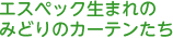 エスペック生まれのみどりのカーテンたち