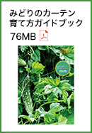 みどりのカーテン 育て方ガイドブック