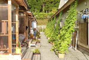 8月29日現在