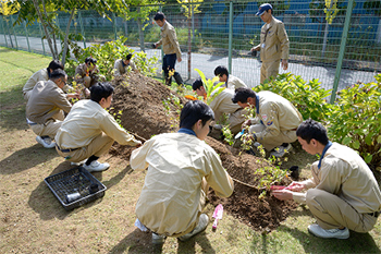 写真：シラカシなど17樹種、計45本の在来広葉樹を植えました