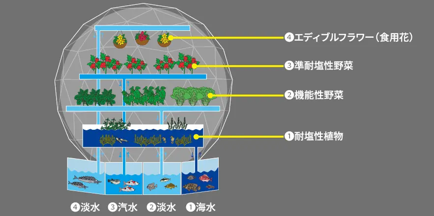 「いのちの湧水（いずみ）」内部詳細