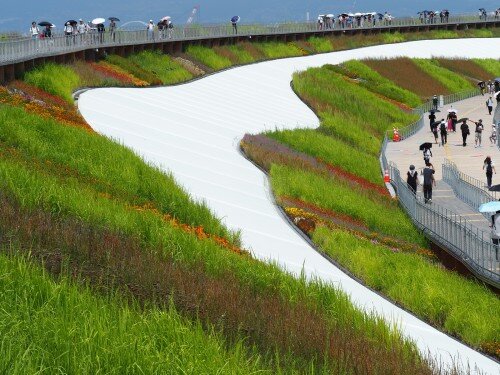 大屋根リング チガヤを植栽したマットやススキの苗を提供
